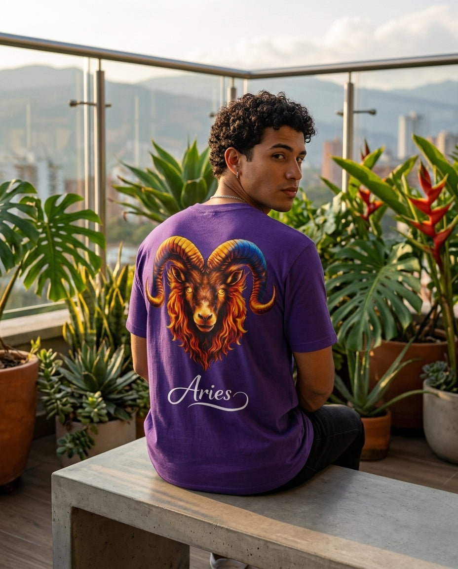 Aries T-Shirt Men – HeyInterests