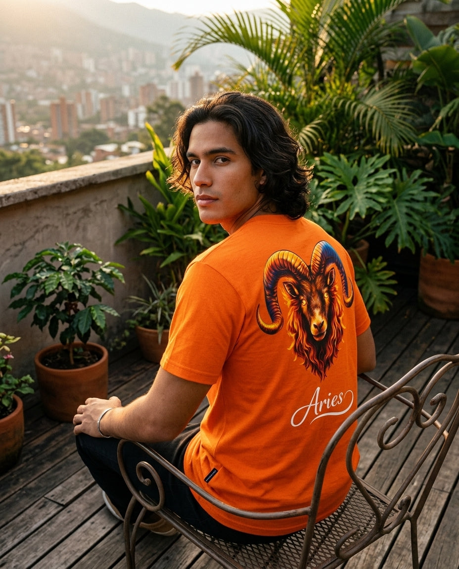 Aries T-Shirt Men – HeyInterests