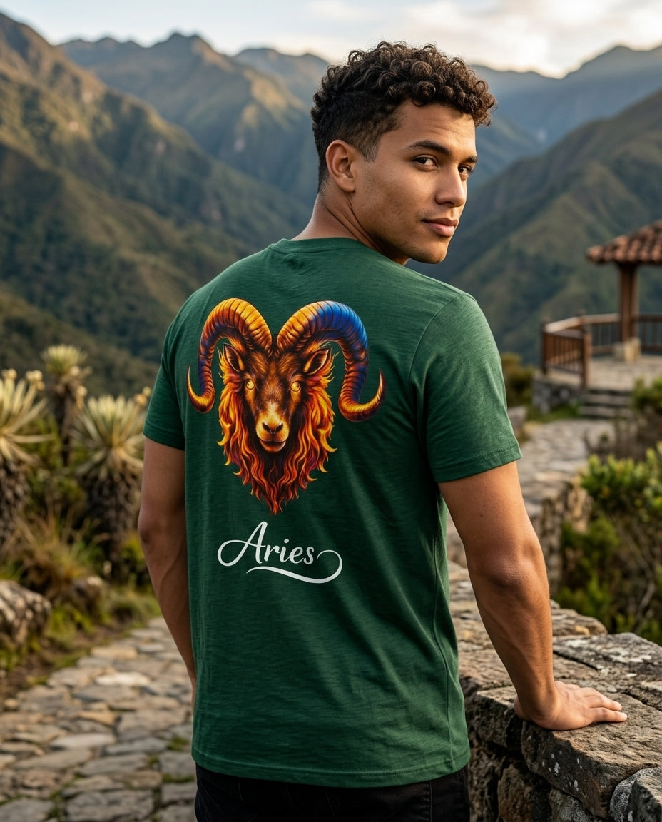 Aries T-Shirt Men – HeyInterests