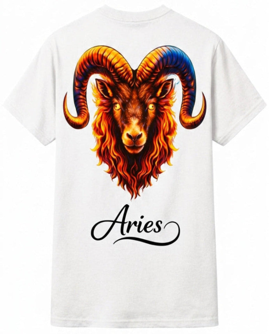 Aries T-Shirt Men – HeyInterests
