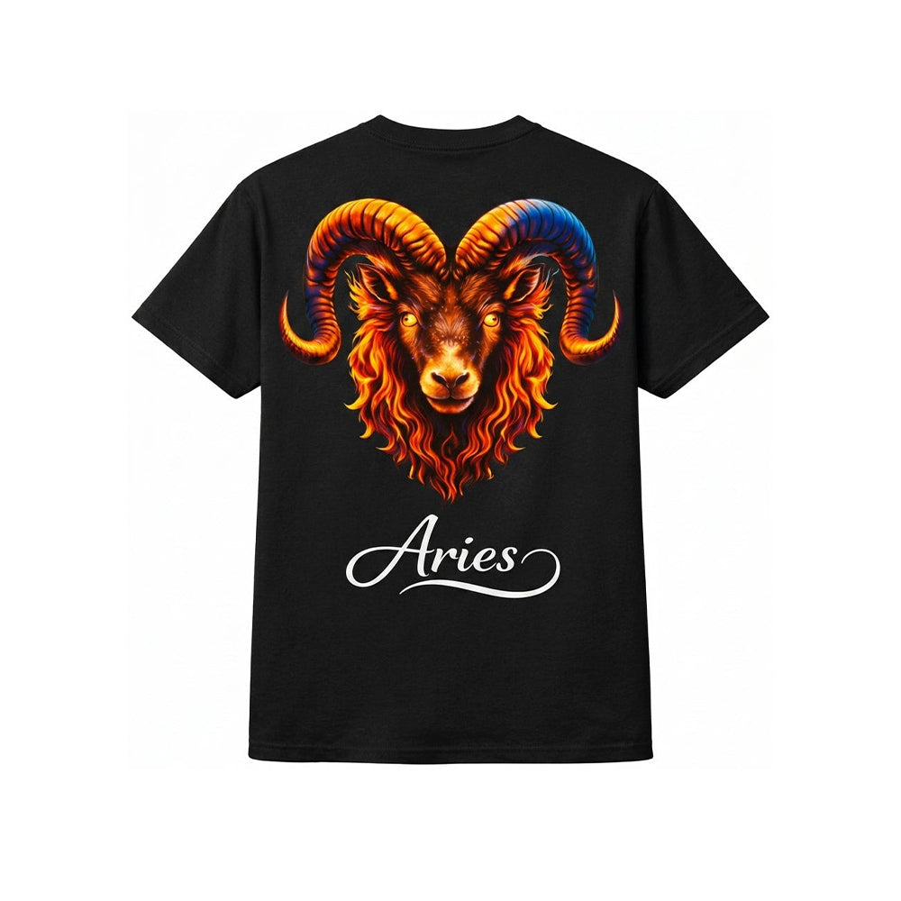 Aries T-Shirt Men – HeyInterests
